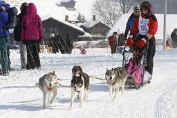 Lenk 2012 SM
